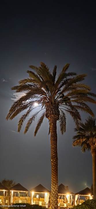 Gartenanlage TUI BLUE Pioneer Beach