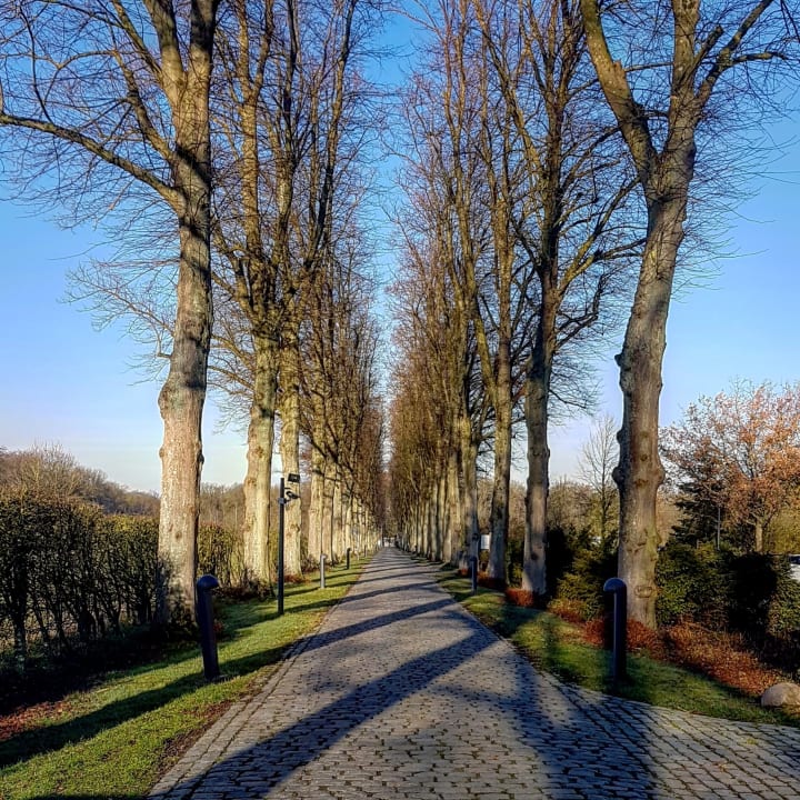 Garten Hotel Schloss Krickenbeck