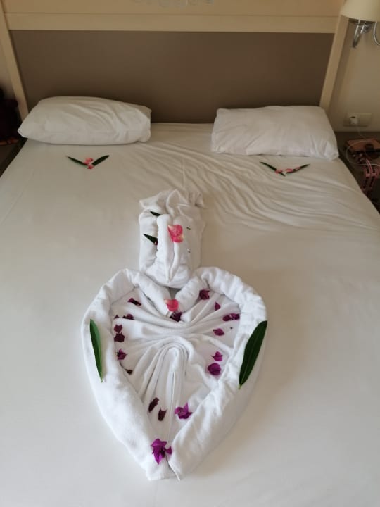 Zimmer Aydinbey Kings Palace & Spa