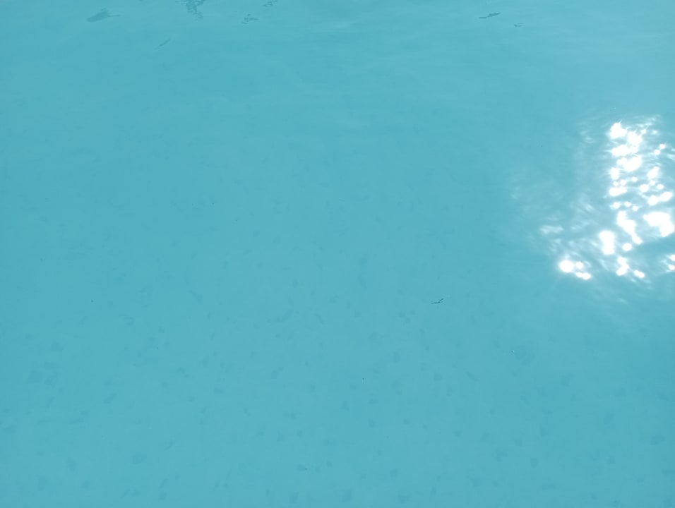 Pool Hotel Paradis Palace