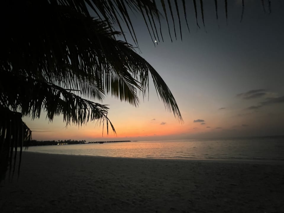 Ausblick Kandima Maldives