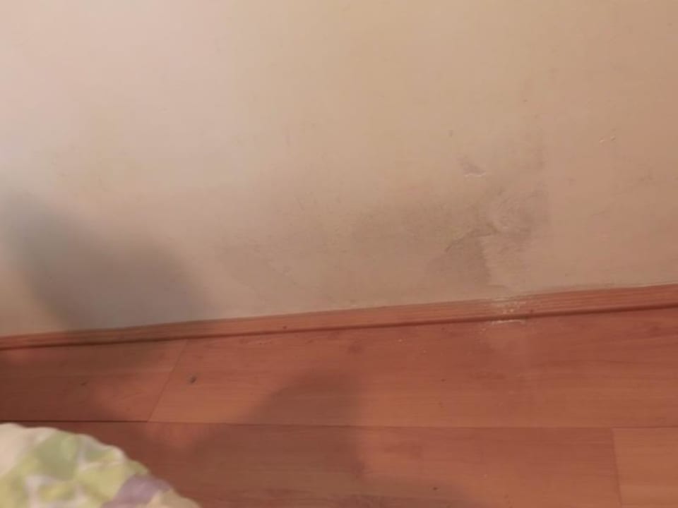 Schimmel Kinderzimmer, hinter Bett Hotel Kiss Family