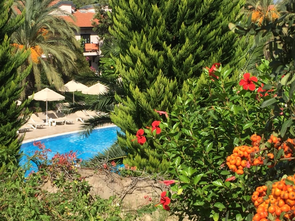 Ausblick Starlight Resort Hotel