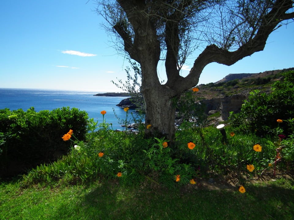 Sehr gepflegt Hotel Kalithea Horizon Royal