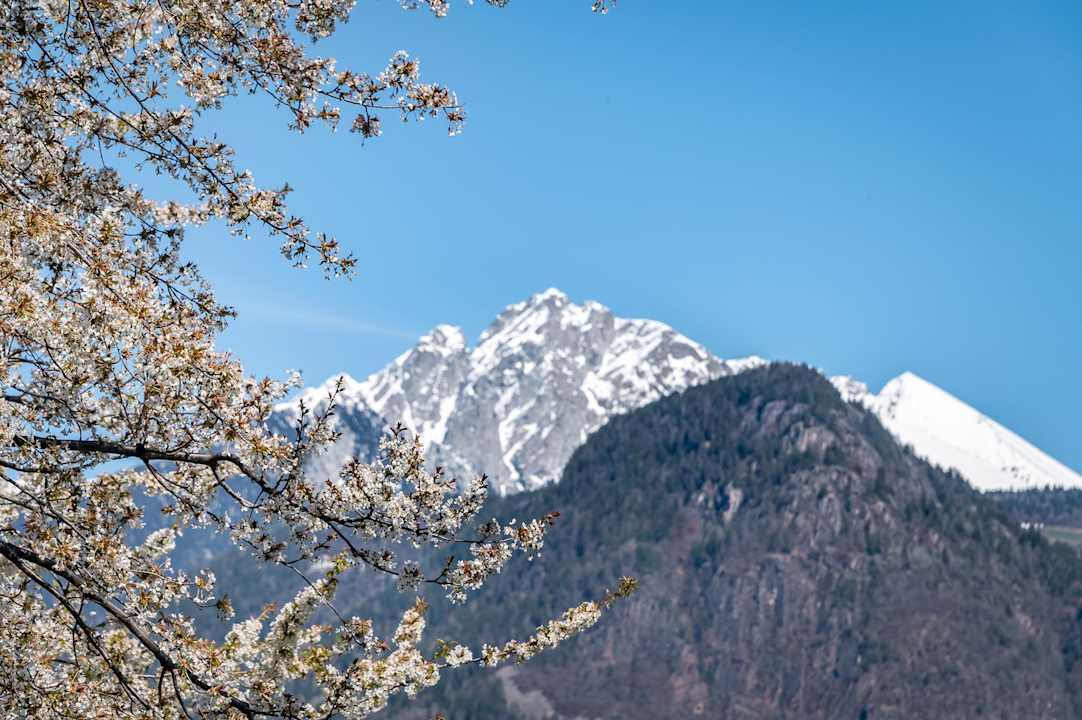 Außenansicht Residence Georgenhöhe