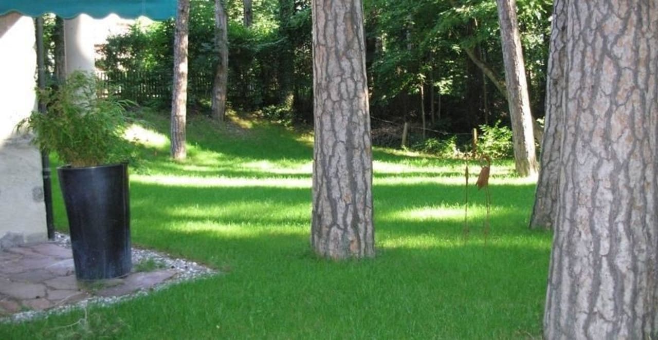...am Föhrenwaldweg 1 direkt am Giessenpark Ferienwohnung Rothmund