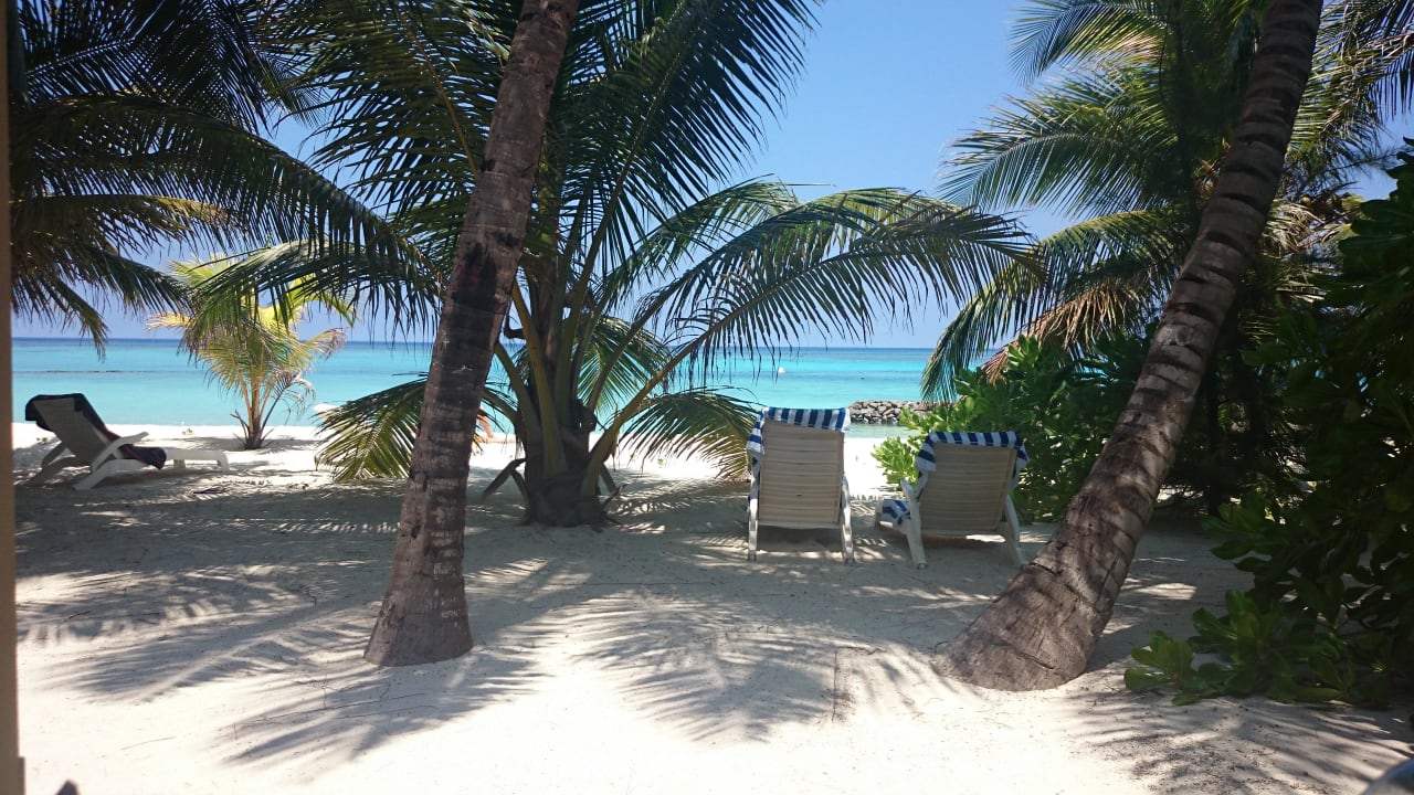 Traumhaft  Summer Island Maldives