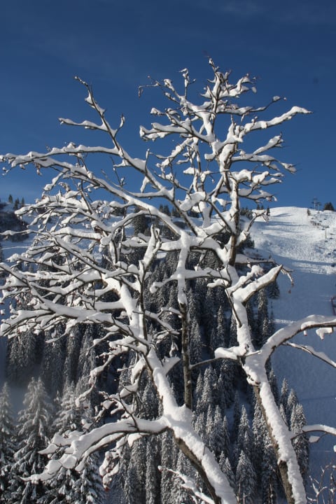 Sonstiges Hotel Almstüble Bergfrieden