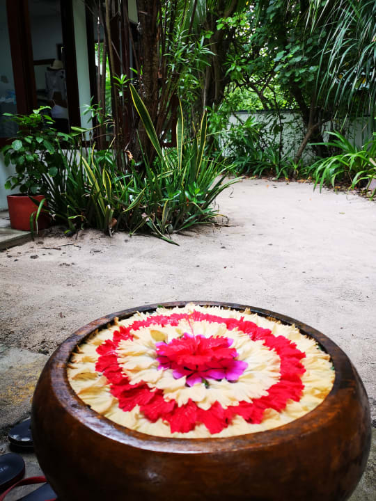 Gartenanlage NH Collection Maldives Reethi Resort