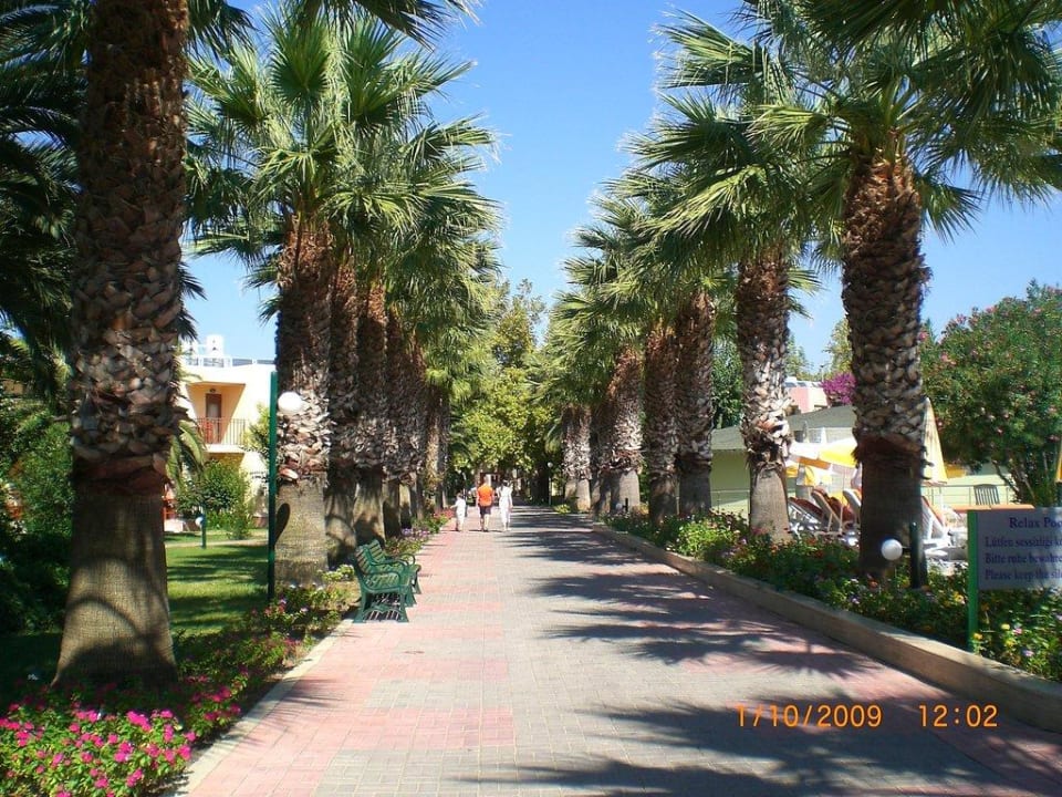 Palmenallee VONRESORT Golden Beach