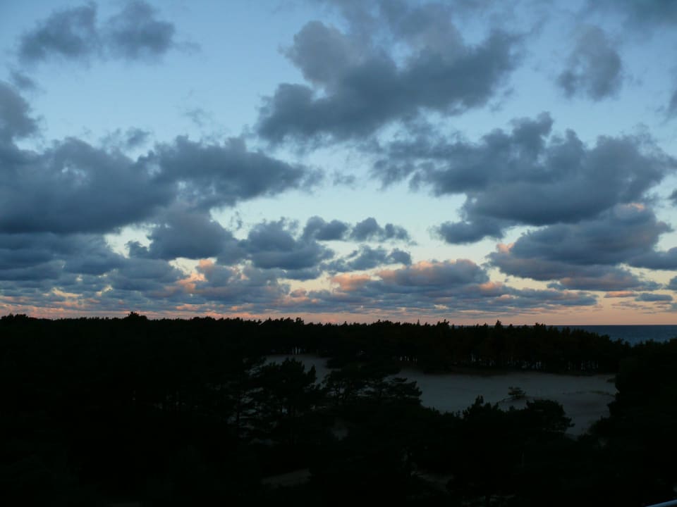 Blick über das Wäldchen HAVET Resort & Spa