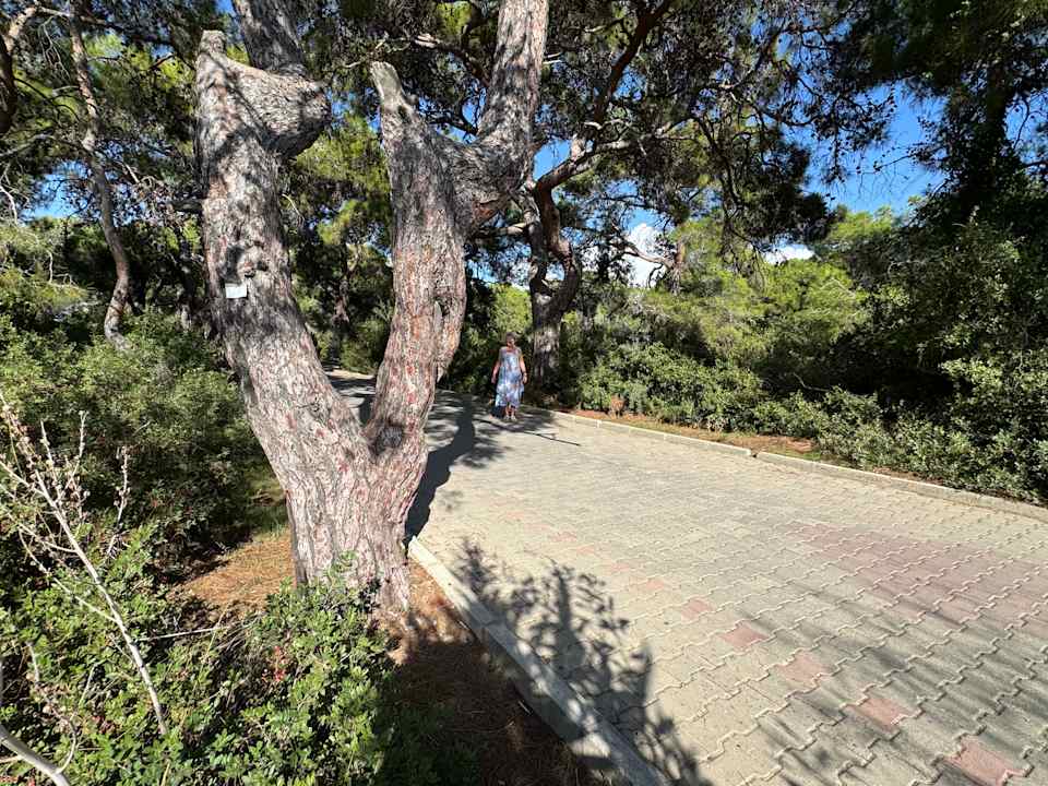 Strand J'adore Deluxe Hotel & Spa