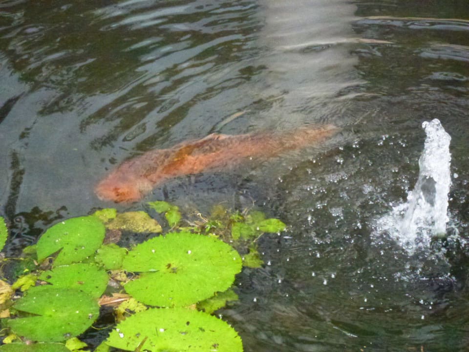 Eingang Royal TRS Turquesa Hotel - Adults only