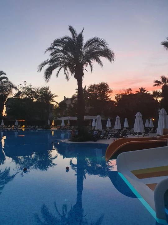 Pool Side Star Elegance