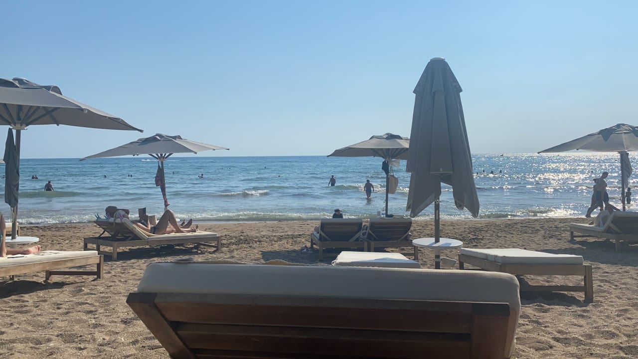 Strand Acanthus Cennet Barut Collection