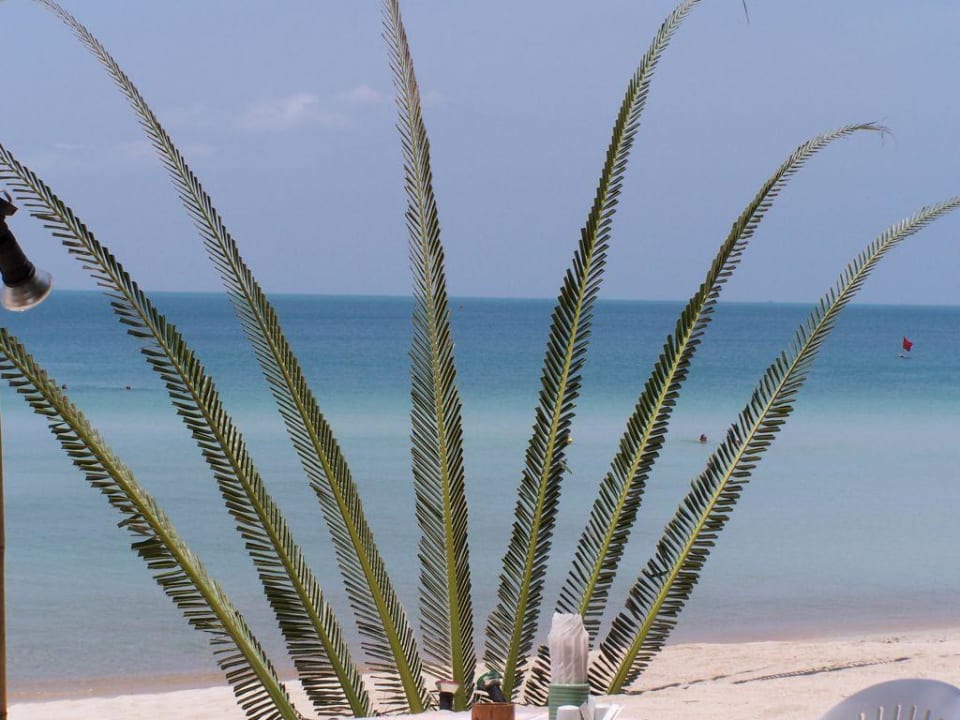 Strand Eindruck The Fair House Beach Resort