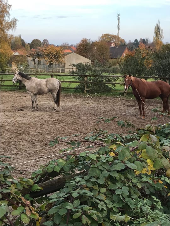 Sonstiges Seminarhotel Luisenhof