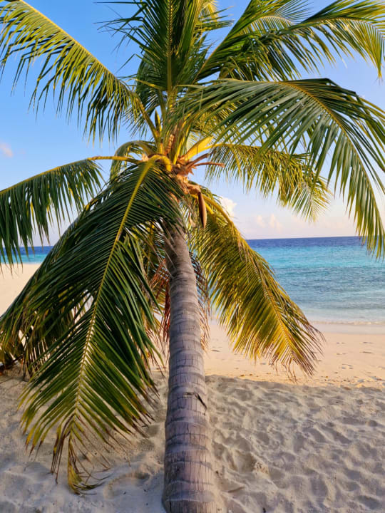 Strand ROBINSON MALDIVES