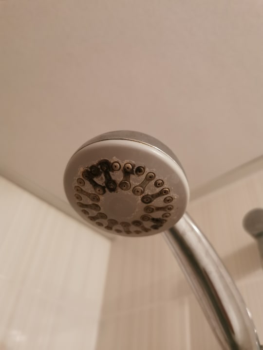 Zimmer Hotel Borjana