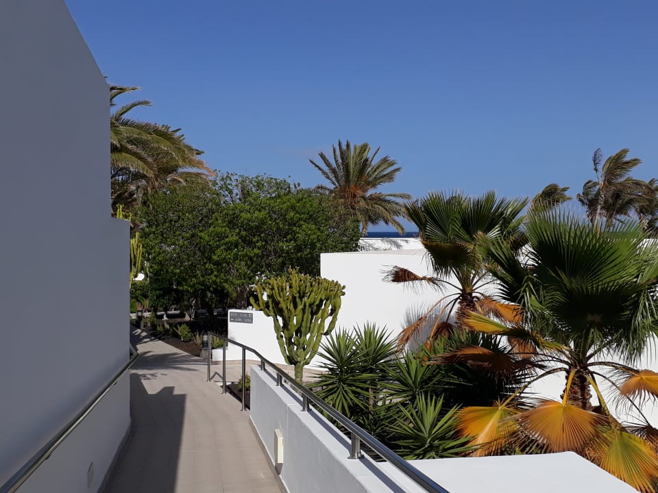 Gartenanlage Hotel Las Costas