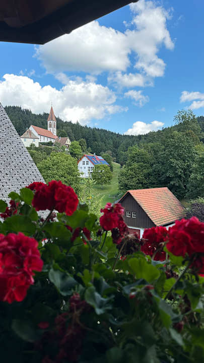 Ausblick Naturparkhotel Adler