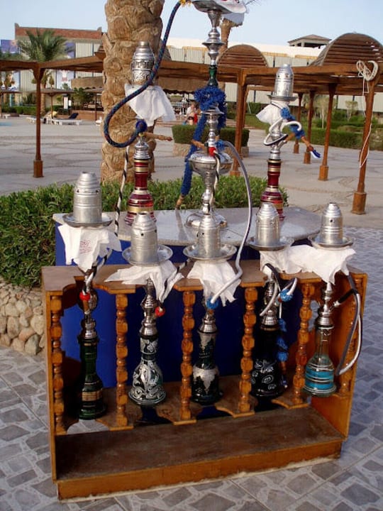 Shisha-bar Desert Rose