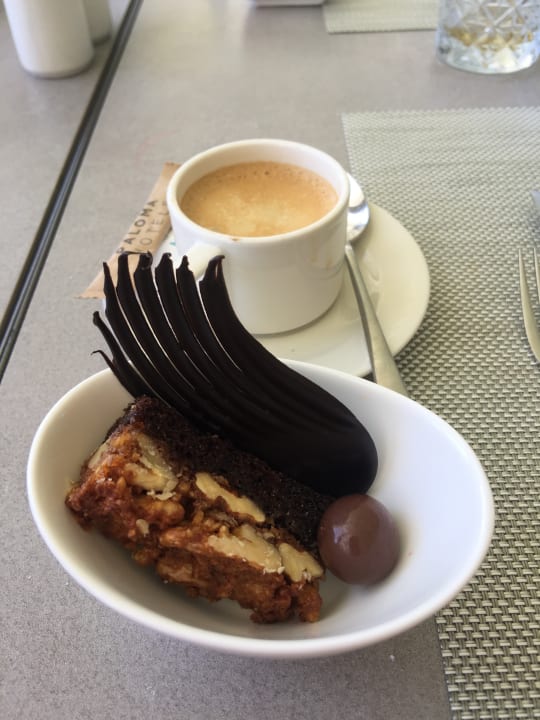 Gastro Paloma Finesse