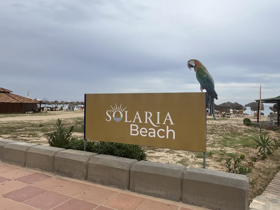 Strand Medina Solaria & Thalasso