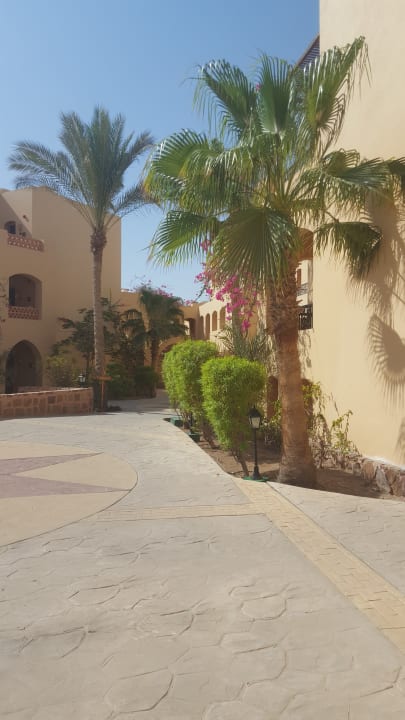 Gartenanlage Steigenberger Coraya Beach - Adults only