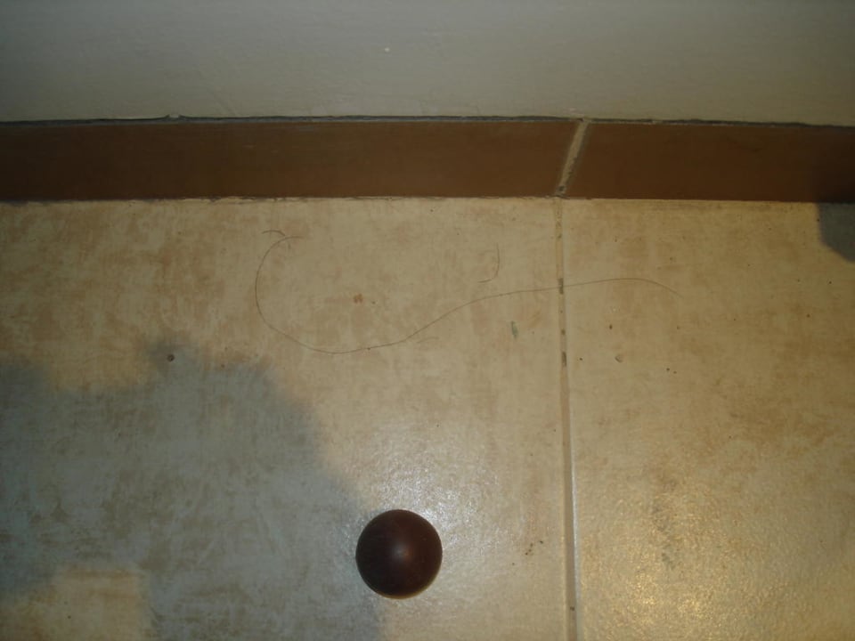 Dreckiger Fussboden Imperial Shams Abu Soma