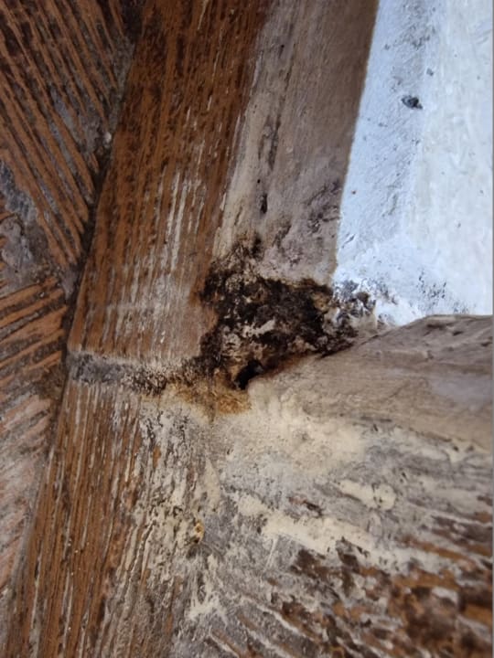 Zimmer Pickalbatros Citadel Resort