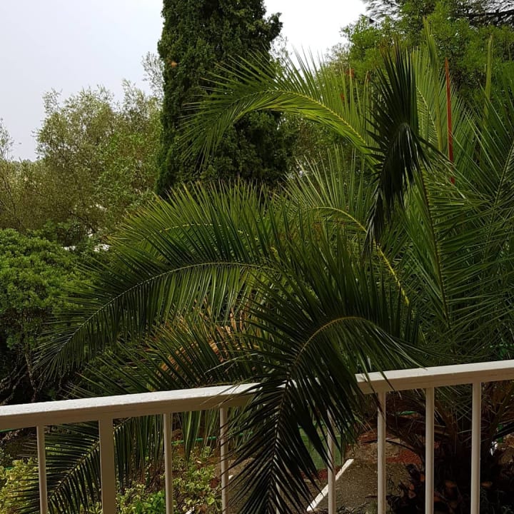 Zimmer Flipflop Cala Romantica