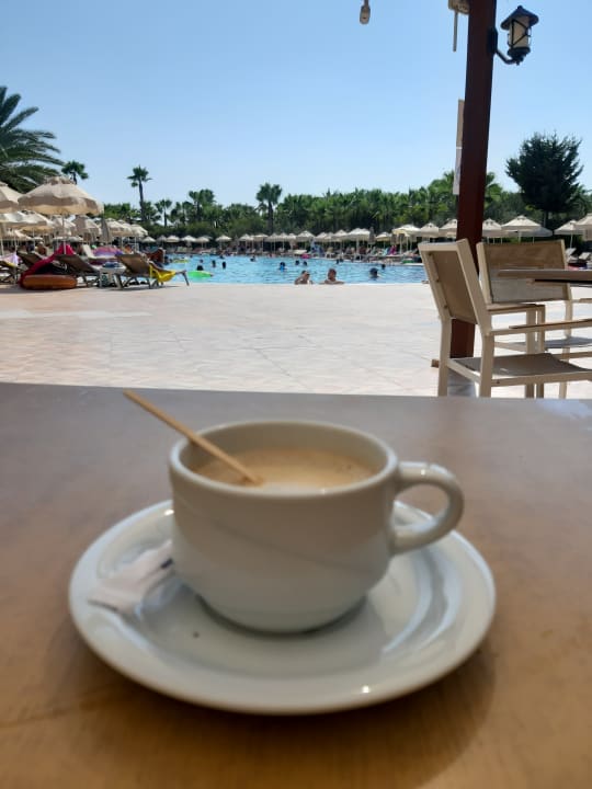 Pool Seaden Sea World Resort & Spa