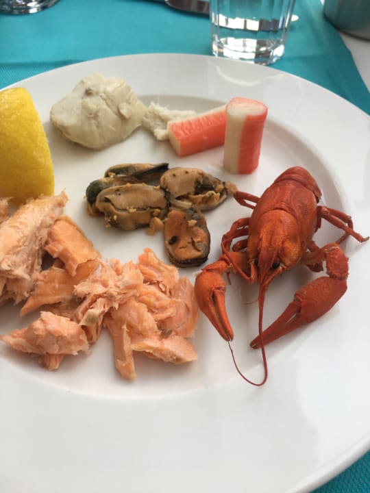 Gastro Seashell Vega