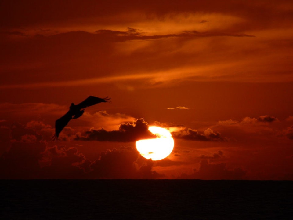 Sonnenuntergang Bucuti & Tara Beach Resort - Adults only