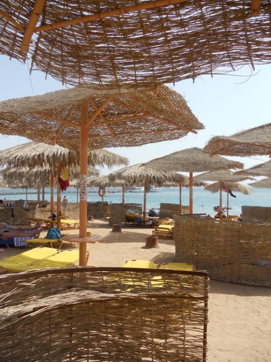 Strandblick von der Liege aus Hotel JAZ Makadi Star & Spa