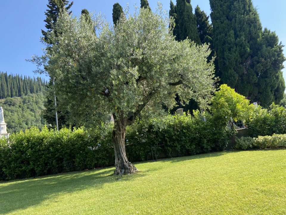 Gartenanlage Reflection Boutique Hotels