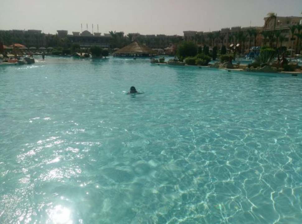 Pool Pickalbatros Palace Resort