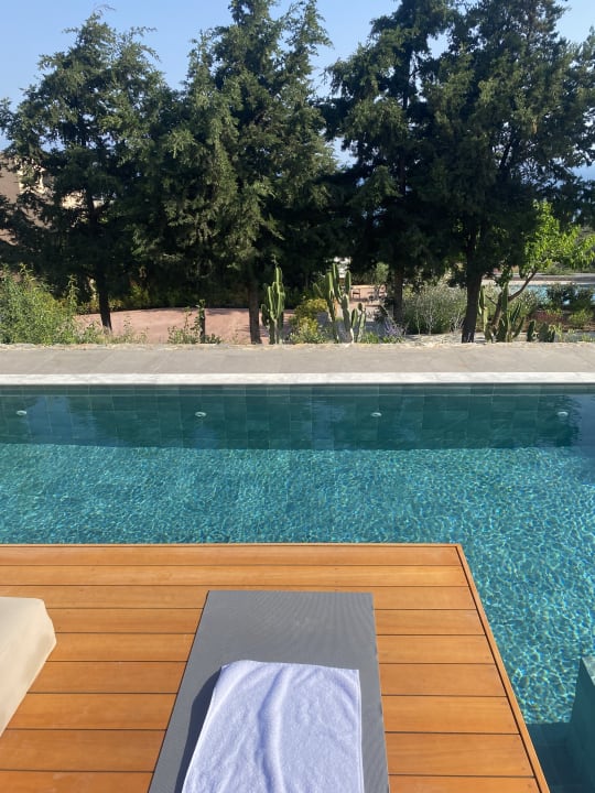 Pool The Nest Resort