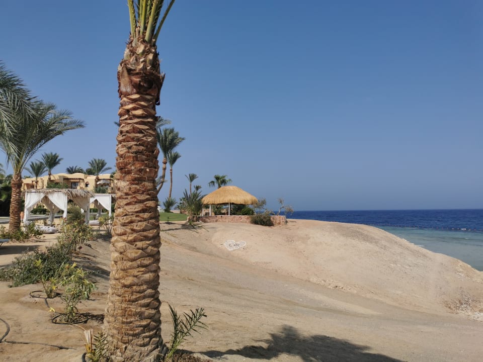 Strand Steigenberger Coraya Beach - Adults only