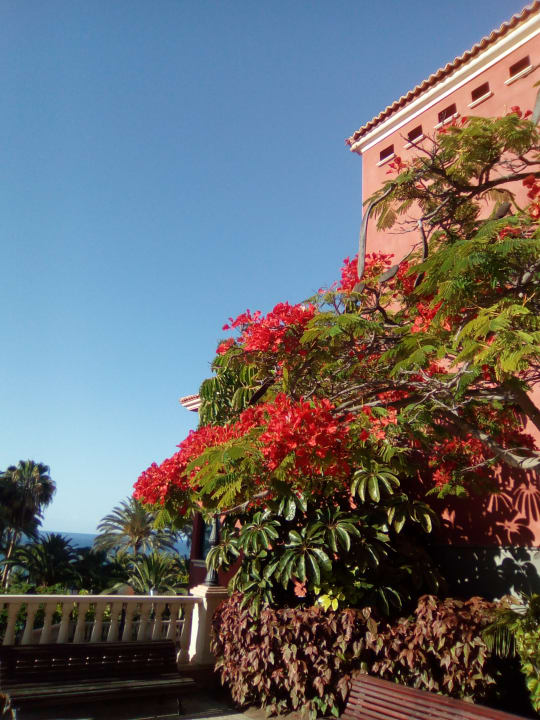 Gartenanlage R2 Rio Calma Hotel & Spa & Conference