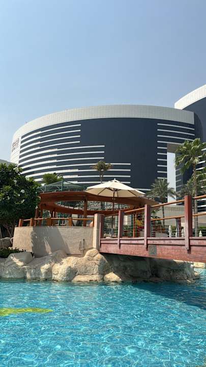 Pool Grand Hyatt Dubai