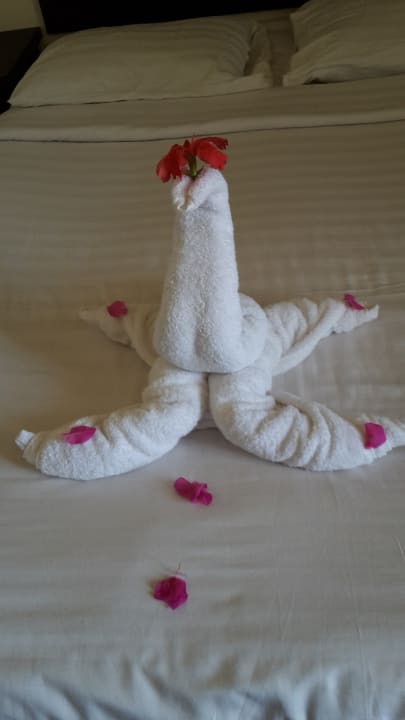 Zimmer Three Corners Sea Beach Resort