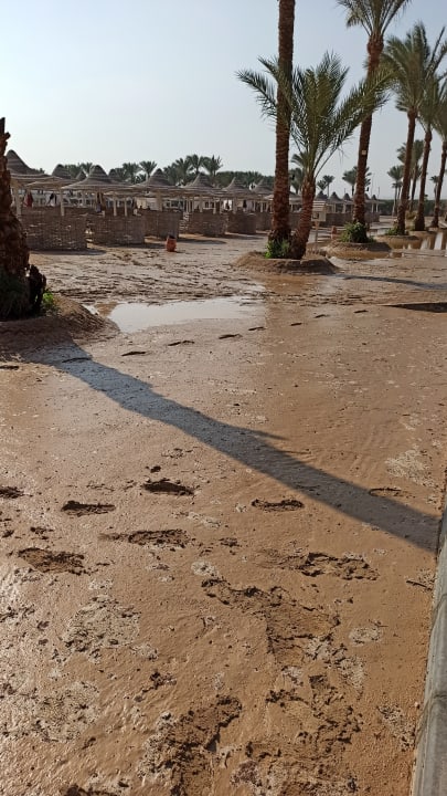 Strand Steigenberger Coraya Beach - Adults only