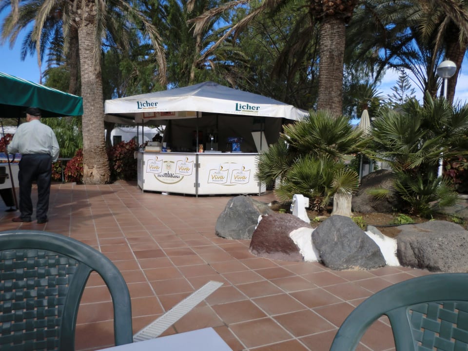 Poolbar Canary Garden Club