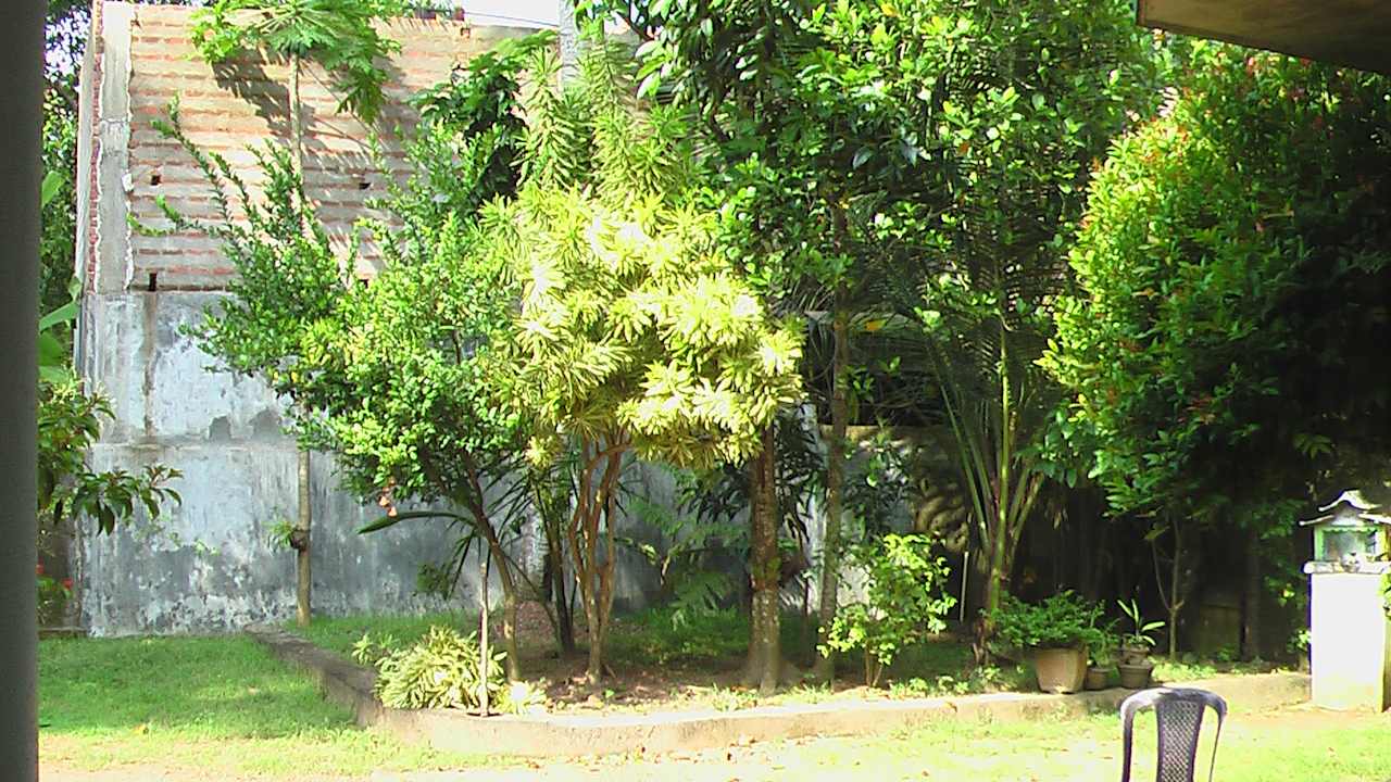 Gartenanlage Sunshine Guesthouse