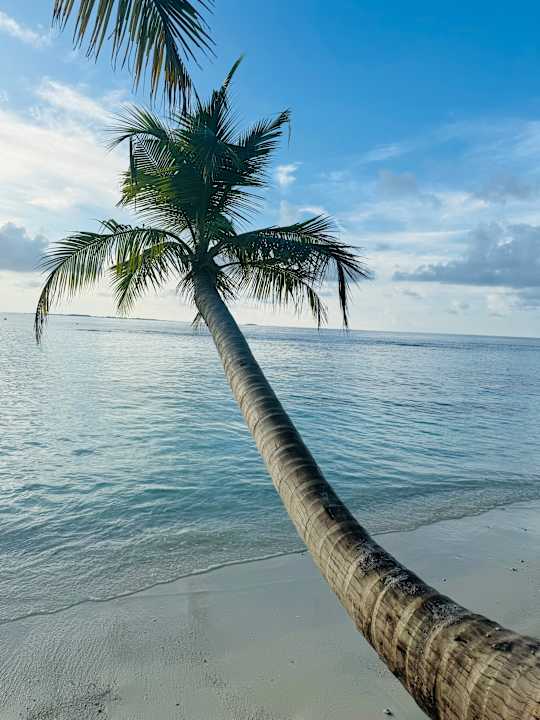 Strand Bandos Maldives