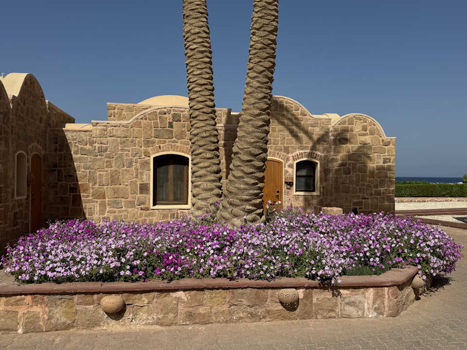 Gartenanlage Mövenpick Resort El Quseir