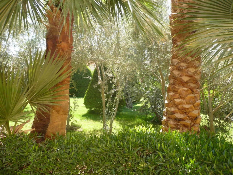 Hotelgarten Jaz Makadi Oasis Resort