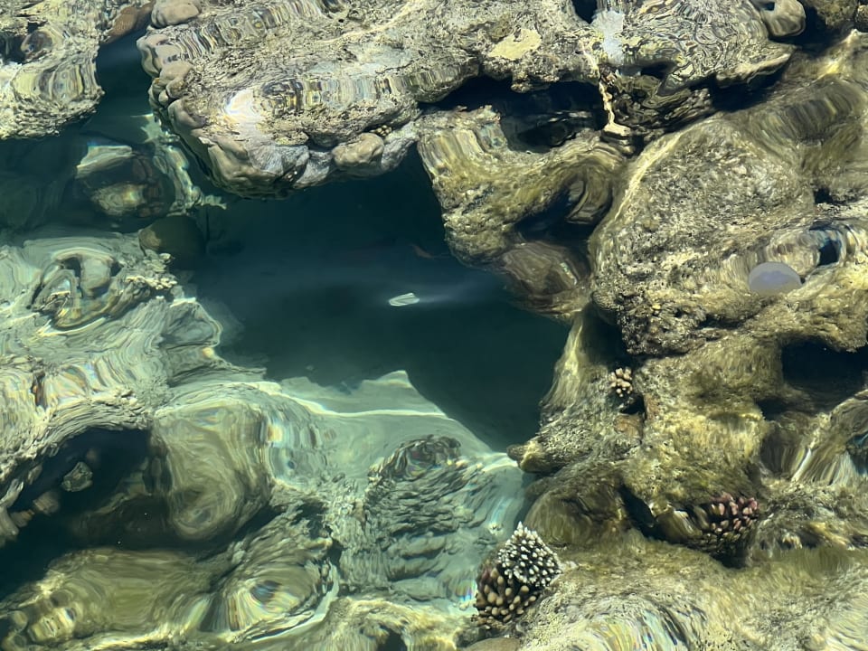 Sport & Freizeit Gravity Hotel & Aquapark Sahl Hasheesh